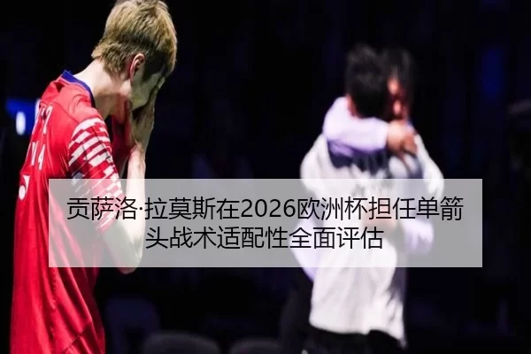 gong-sa-luo-la-mo-si-zai-ou-zhou-bei-dan-ren-dan-jian-tou-zhan-shu-shi-pei-xing-quan-mian-ping-gu-2-695.jpg