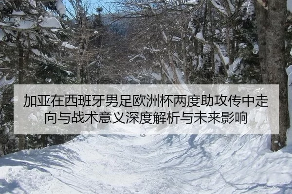 加亚在西班牙男足欧洲杯两度助攻传中走向与战术意义深度解析与未来影响